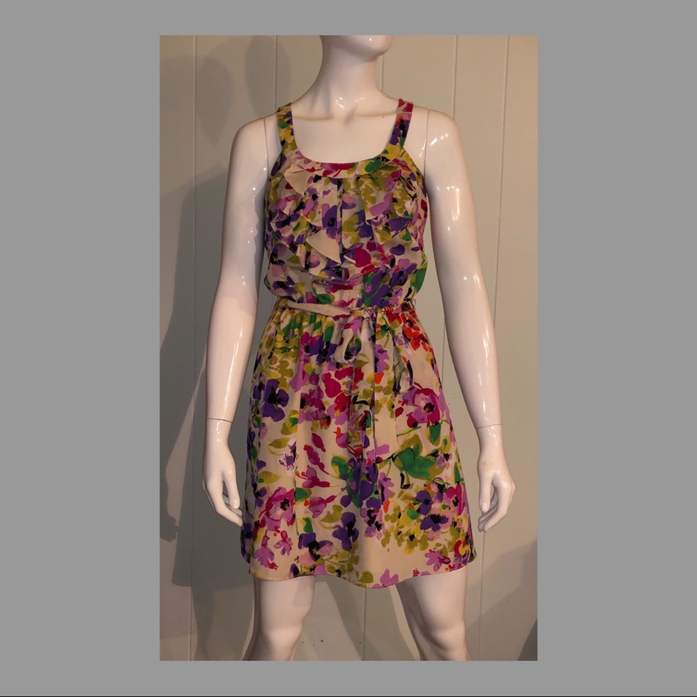 Express Floral Dress